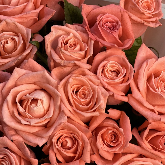 Букет Ассоль