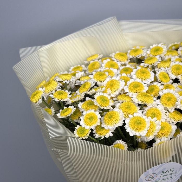 Букет Ромашка под солнцем