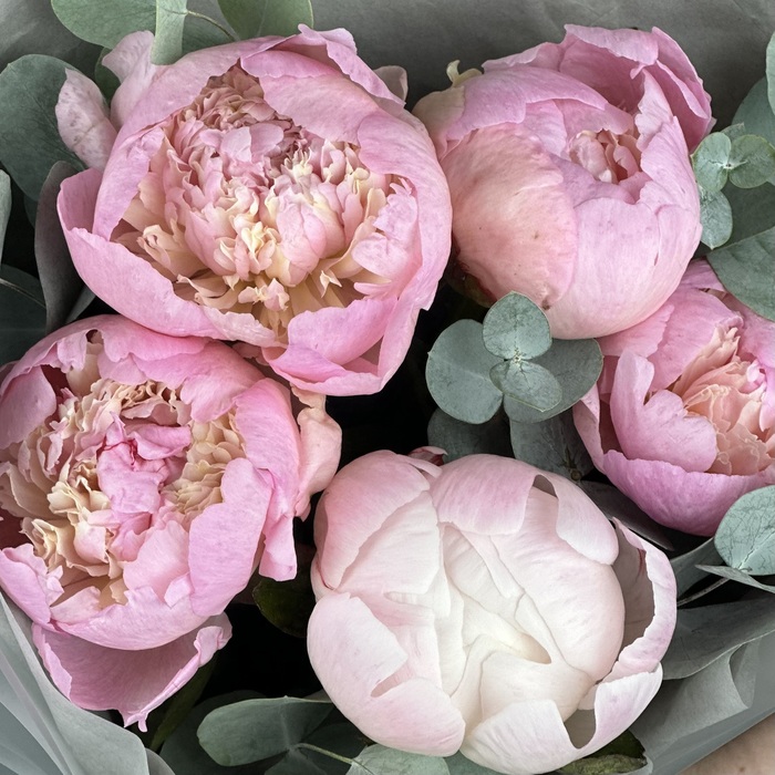 Букет Внимание