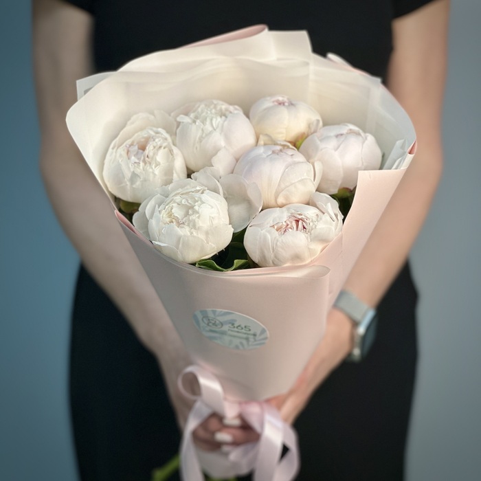 Букет из 1 бело-розовых пионов