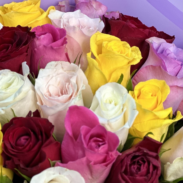 Букет из 21 розы Кения яркий микс