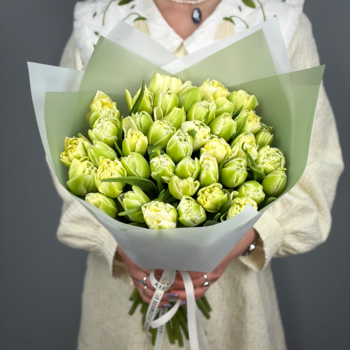 Букет из 41 светлых пионовидных тюльпанов