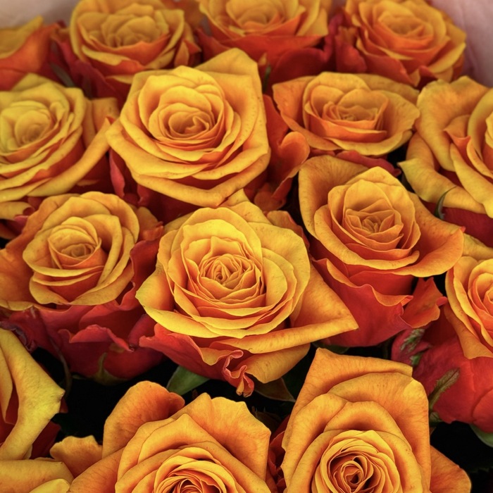 Букет Испания