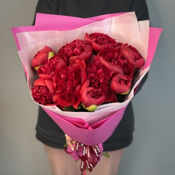 Букет из 11 бордовых пионов