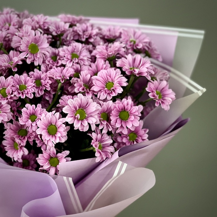 Букет из 11 фиолетовых хризантем сантини