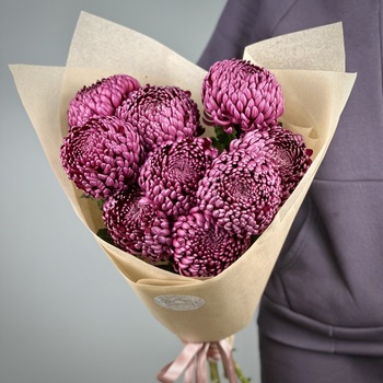 Букет из 9 черничных хризантем