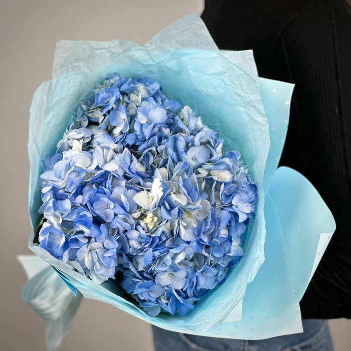 Букет из 1 голубых гортензий