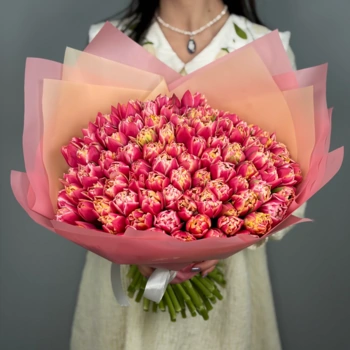 Букет из 101 малиновых пионовидных тюльпанов