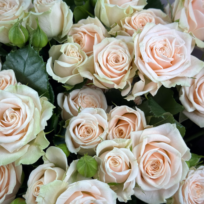 Букет Крем-брюле