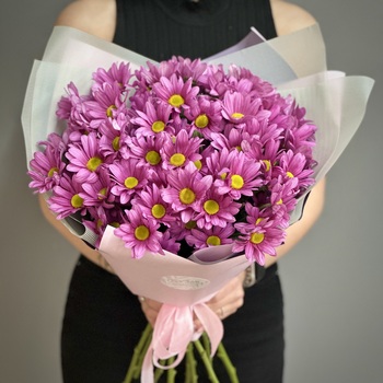 Букет из 11 сиреневых кустовых ромашковых хризантем