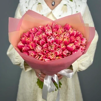 Букет из 51 малиновых пионовидных тюльпанов
