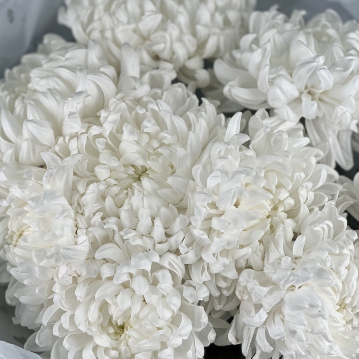 Букет Дыхание нежности