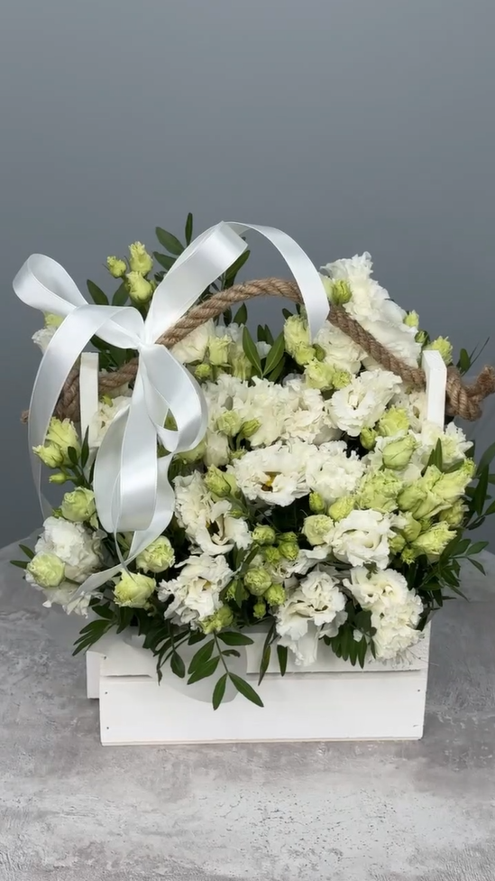 Цветы в ящике Энканто