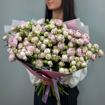 Букет из 25 кустовых пионовидных роз Сицилия