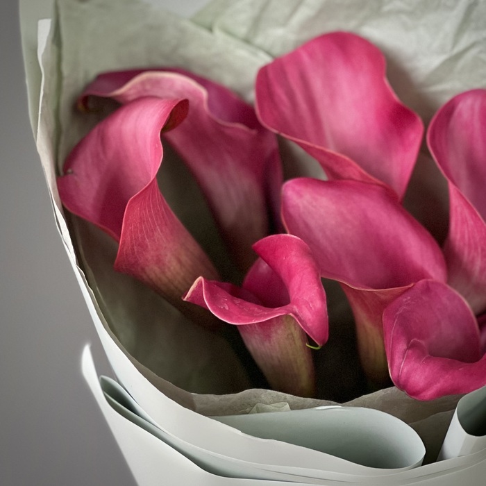 Букет из 7 малиновых калл