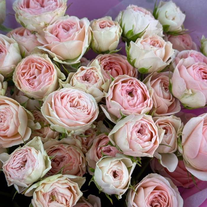 Букет из 11 кустовых роз "Тайна любви"