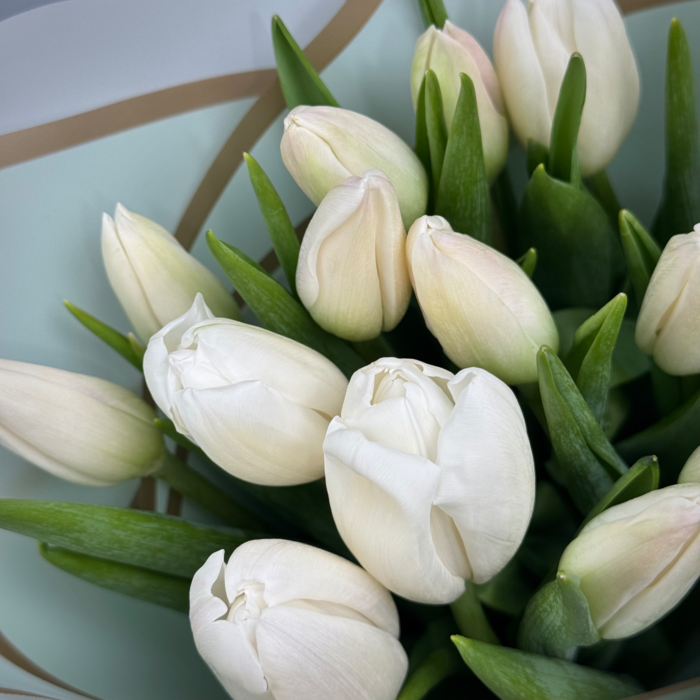 Букет из 15 белых тюльпанов