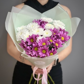 Букет из 7 кустовых хризантем