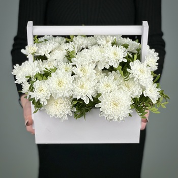 Цветы в ящике Луиза