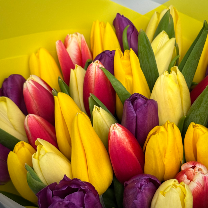 Букет из 41 тюльпанов яркий микс