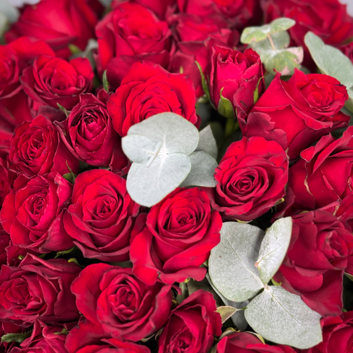 101 роза Кения в шляпной коробке