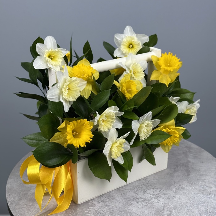 Цветы в ящике Полянка нарциссов