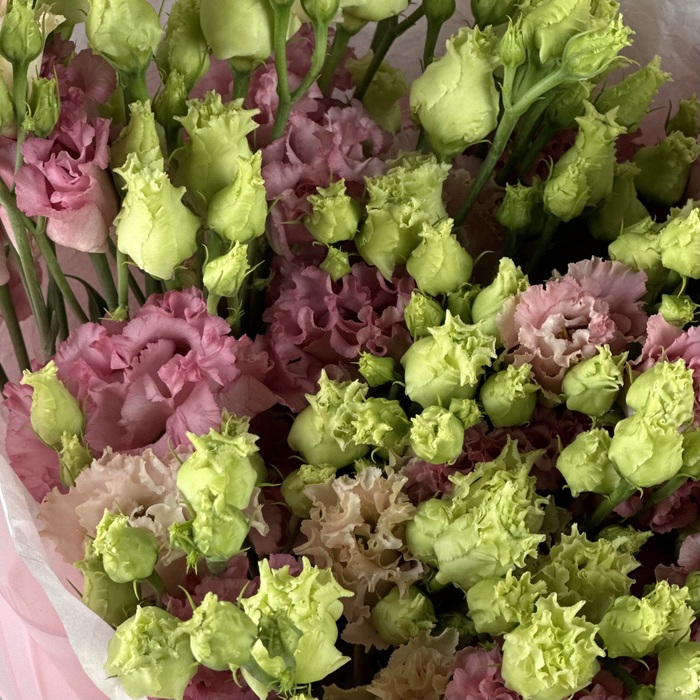 Букет из 9 розовых лизиантусов