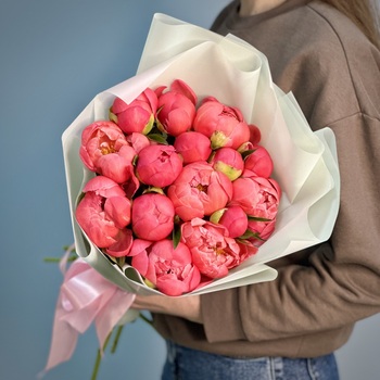 Букет из 25 коралловых пионов