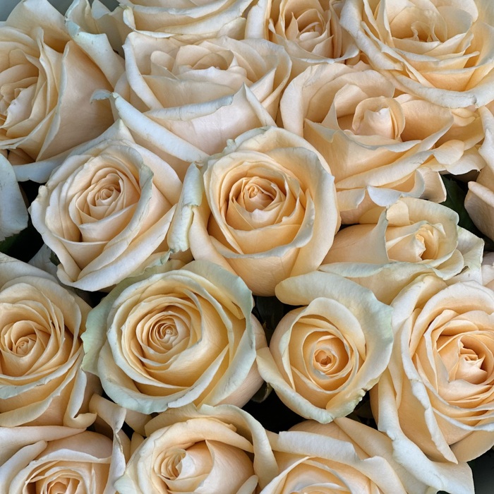 Букет Бесконечность