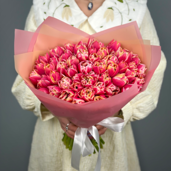 Букет из 51 малиновых пионовидных тюльпанов