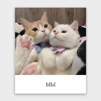 Открытка МЫ (коты, формат мини)