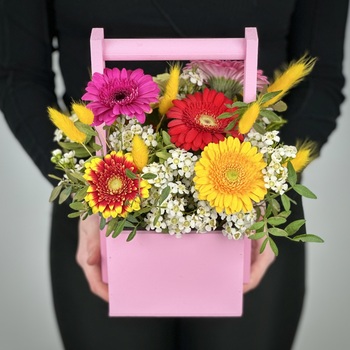 Цветы в ящике Моника