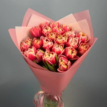 Букет из 41 малиновых пионовидных тюльпанов