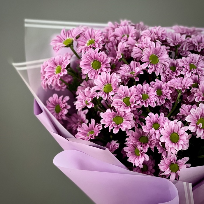 Букет из 11 фиолетовых хризантем сантини