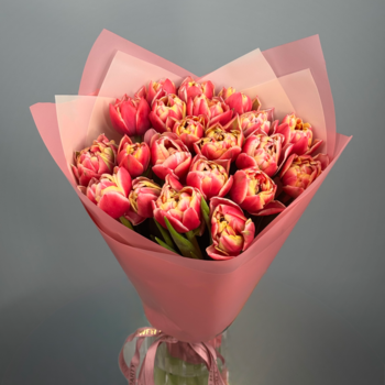 Букет из 101 малиновых пионовидных тюльпанов