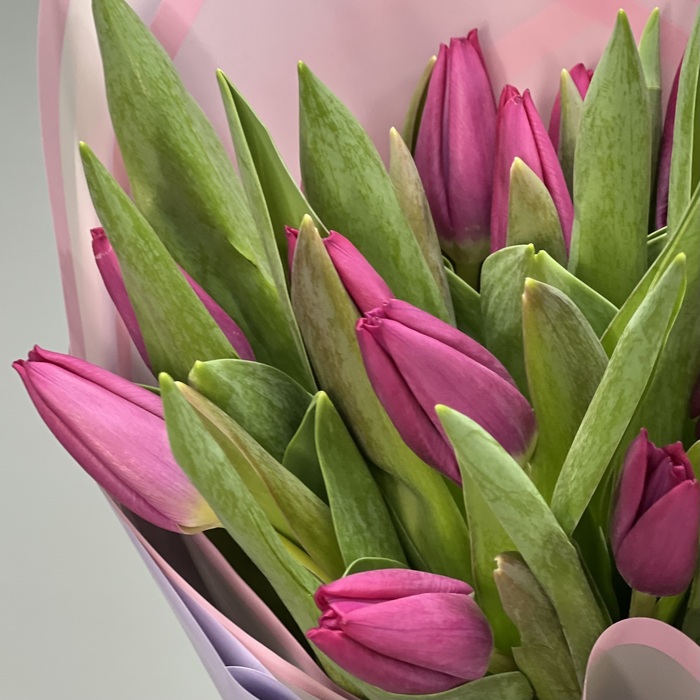 Букет из 15 фиолетовых тюльпанов