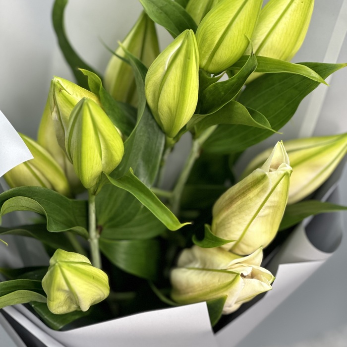 Букет из 3 белых лилий