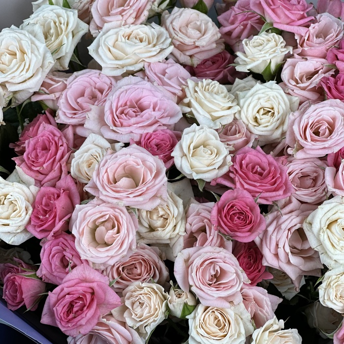 Букет из 25 нежных кустовых роз