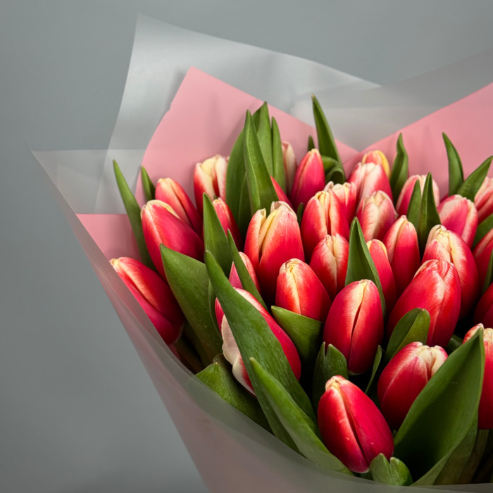 Букет из 71 красных тюльпанов