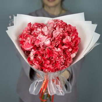 Букет из 3 красных гортензий