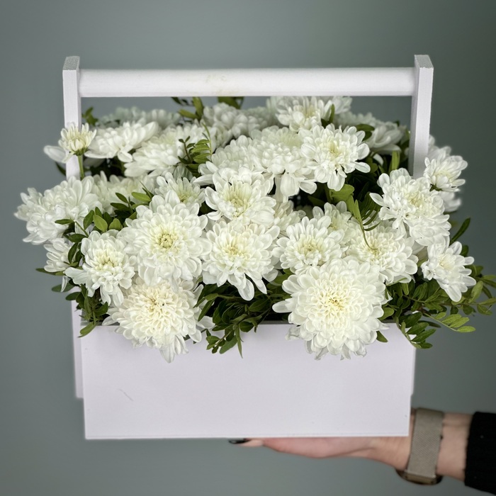 Цветы в ящике Луиза