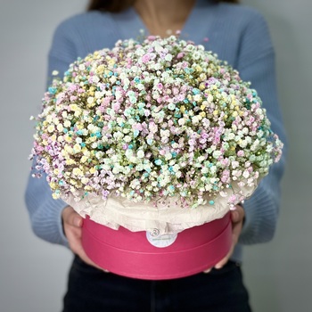 Цветы в коробке Радуга L