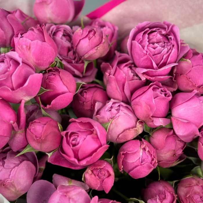Букет из 9 кустовых пионовидных роз Мисти баблз