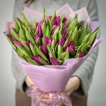 Букет из 51 фиолетовых тюльпанов