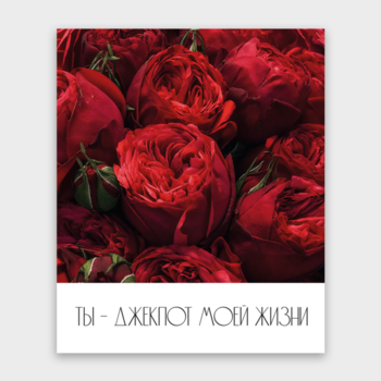 Открытка Ты джекпот моей жизни! (розы, формат мини)