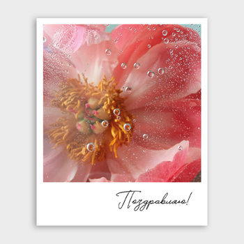 Открытка Поздравляю! (пион, формат мини)