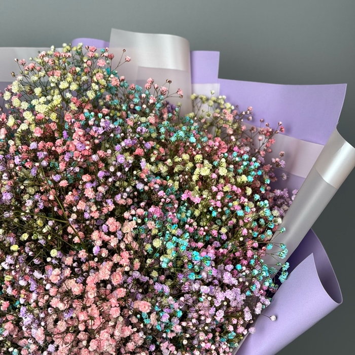 Букет из 15 цветных гипсофил