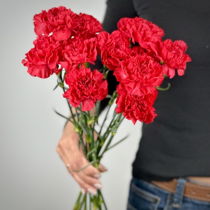 Букет из 11 красных гвоздик