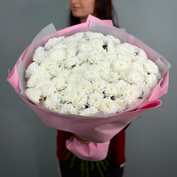 Букет из 25 белых кустовых хризантем