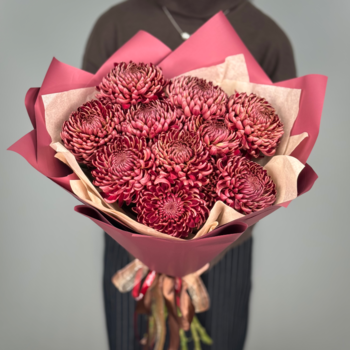 Букет из 11 хризантем Капучино